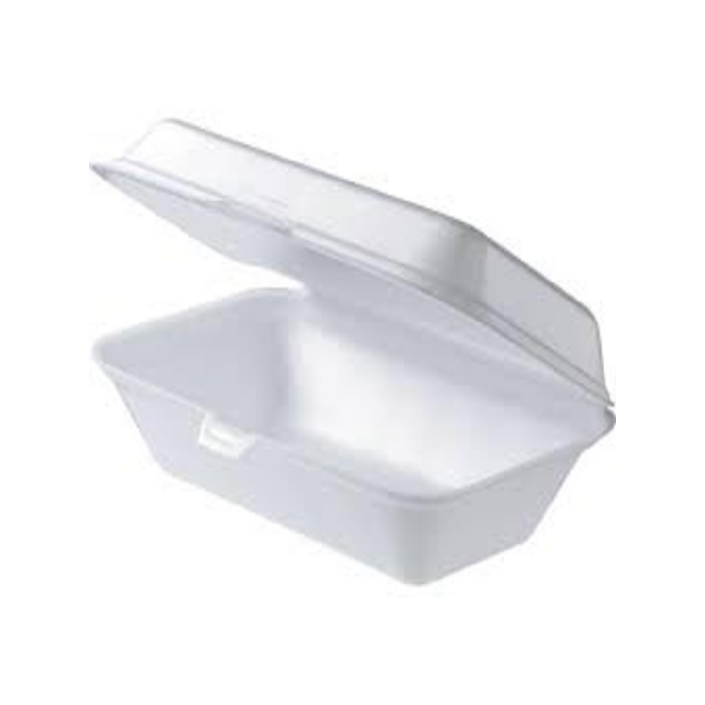 Foam Lunch Box