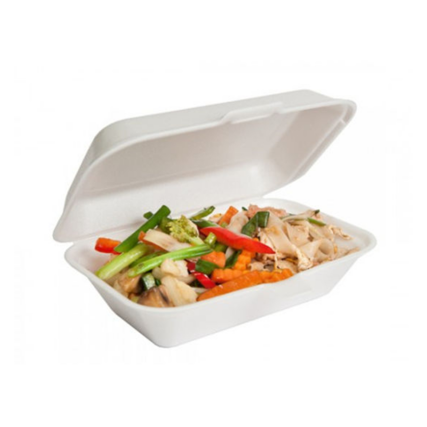 Foam Lunch Box